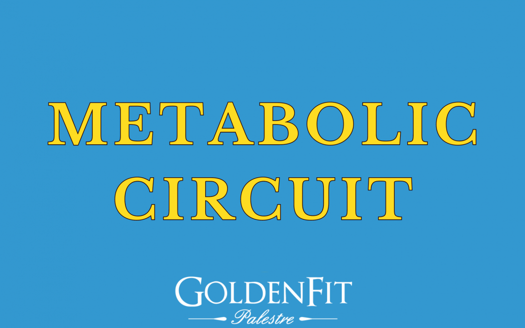 Metabolic Circuit