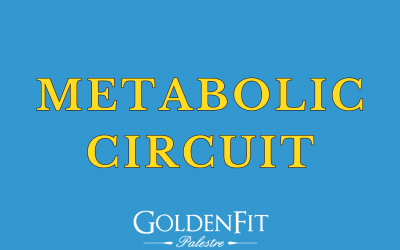 Metabolic Circuit