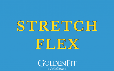 Stretch Flex