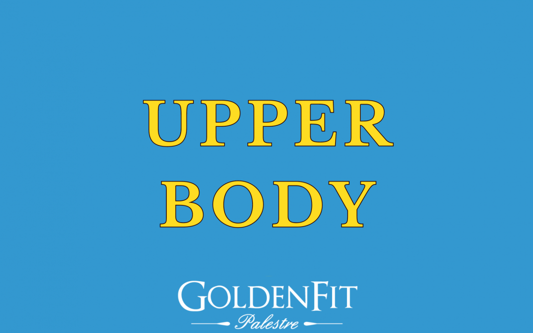 Upper Body
