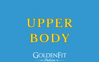 Upper Body