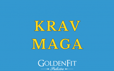 Krav Maga