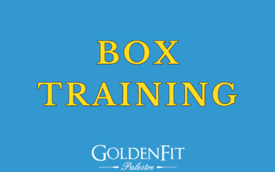 Box Training