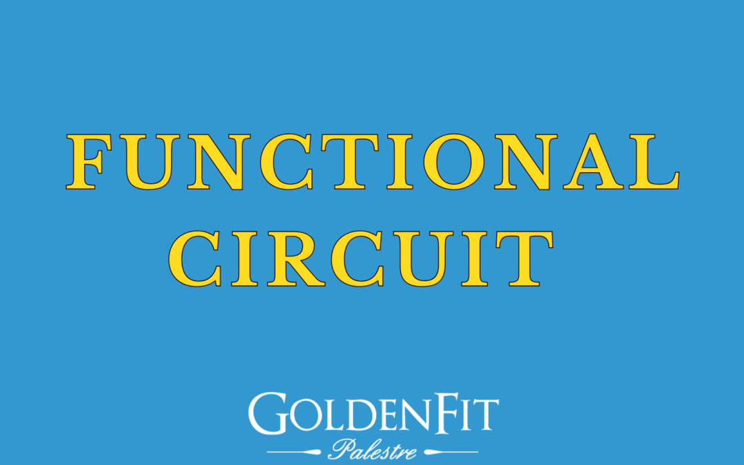 Functional Circuit