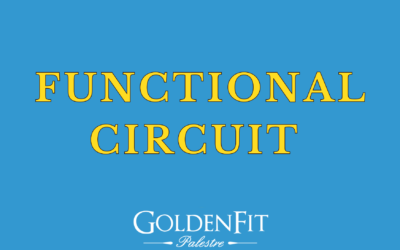 Functional Circuit