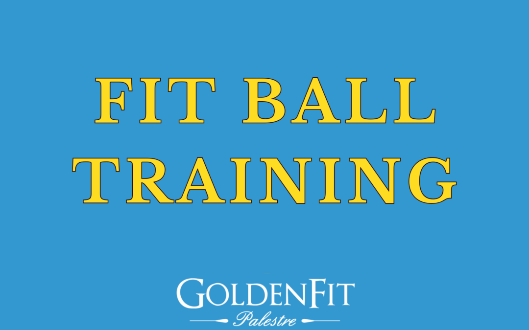 Fit Ball Training