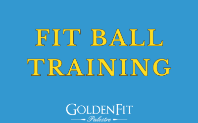 Fit Ball Training